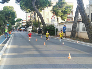 IMG_20231001_172618 IMG_20231001_172618