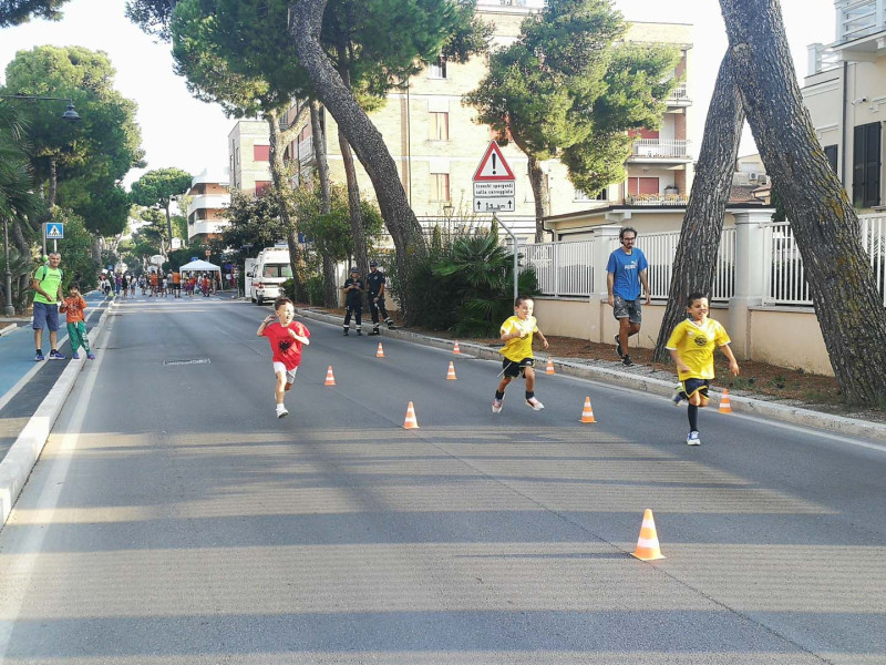 IMG_20231001_172619 IMG_20231001_172619