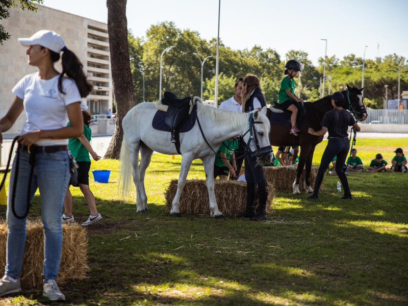 foro_italico_camp-127_20220927_2023114756 foro_italico_camp-127_20220927_2023114756