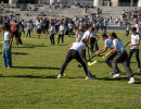 ata07377 ata07377