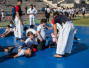 ata07462 ata07462