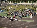 ata07516 ata07516