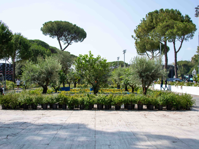 padel 2025  09062025 dsc lorenzoandreini padel 2025  09062025 dsc lorenzoandreini