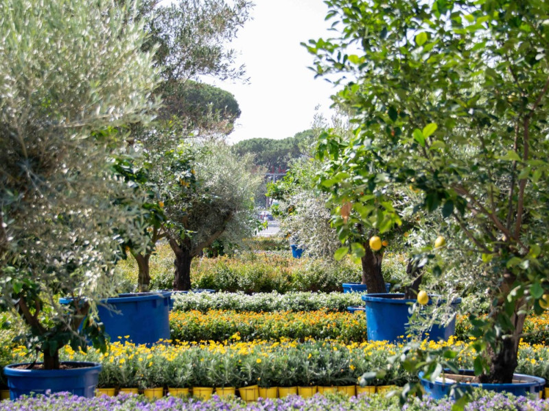 padel 2025  09062025 dsc lorenzoandreini padel 2025  09062025 dsc lorenzoandreini