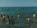 8v6a0336