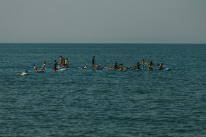 8v6a0338