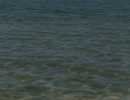 8v6a0424
