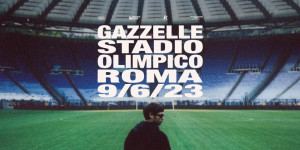 gazzelle stadio olimpicox500
