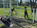 monticelli