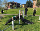 monticelli