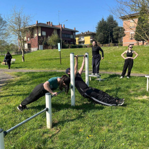 monticelli