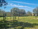 tortoli