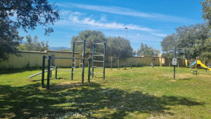 tortoli