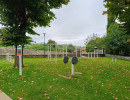 img 20241007