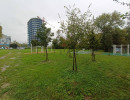 img 20241003