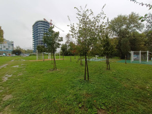 img 20241003