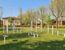 1 img wa0019