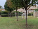 pietra ligure