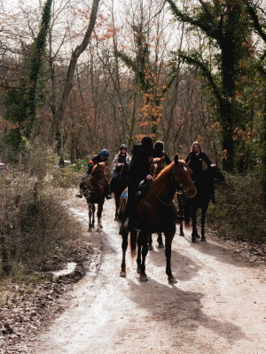 lineaverde illumina giove