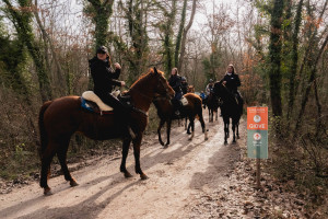 lineaverde illumina giove