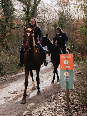 lineaverde illumina giove