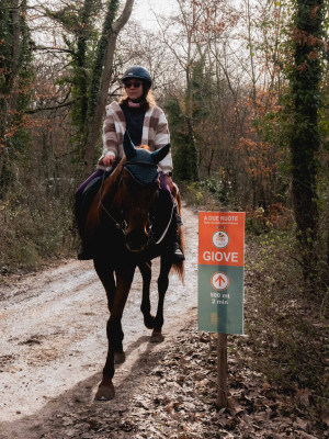 lineaverde illumina giove