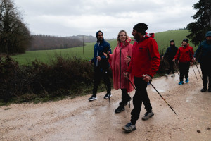 lineaverde illumina todi