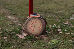 lineaverde illumina todi