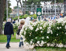 ibi250515 varie pubblico foro italico foto gobbi gmt