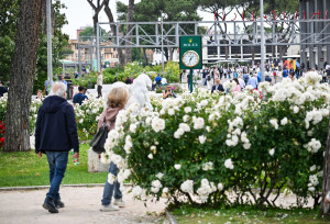 ibi250515 varie pubblico foro italico foto gobbi gmt ibi250515 varie pubblico foro italico foto gobbi gmt