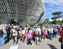 ibi250516 varie foto gobbi gmt