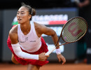 ibi250514 zheng foto gobbi gmt