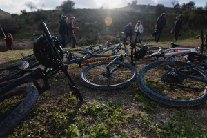 lineaverde illumina licodia eubea