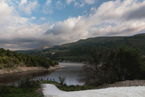 lineaverde illumina licodia eubea
