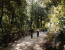 lineaverde illumina lazio