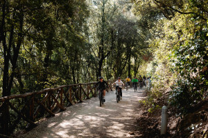 lineaverde illumina lazio