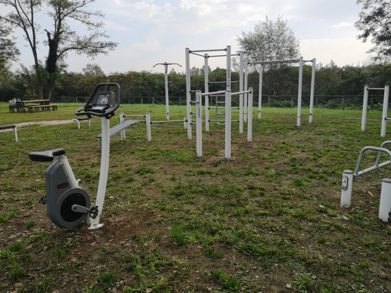 1 wall bellaria igea2 1 wall bellaria igea2