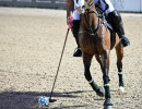 pds250522 polo foto gobbi gmt