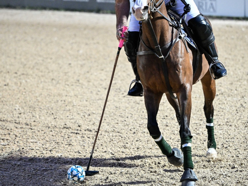 pds250522 polo foto gobbi gmt pds250522 polo foto gobbi gmt