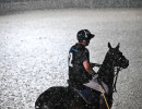 pds250522 polo foto gobbi gmt