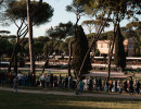 pds 24 maggio 