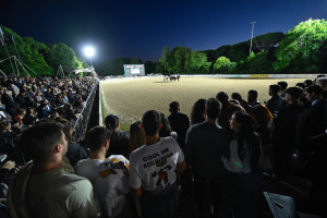 pds250524 polo foto gobbi gmt pds250524 polo foto gobbi gmt