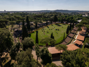 dronedomenica dronedomenica