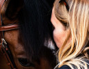 pds horseinspection