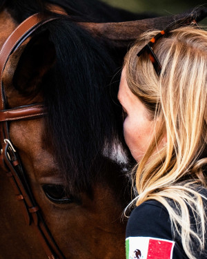 pds horseinspection