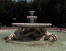 pds site