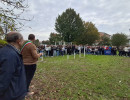 sangiorgio4
