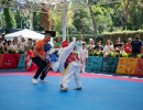 kim e liu 2025  30052025 dsc lorenzoandreini