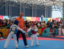 kim e liu 2025  30052025 dsc lorenzoandreini