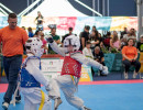 kim e liu 2025  31052025 dsc lorenzoandreini